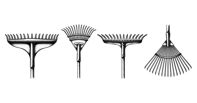 Vintage rake illustrations: collection of four unique gardening tools