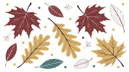 Autumn Leaf Collection: A vibrant collection of autumnal leaves in various shapes and colors gracefully scatters, capturing the essence of the fall season.