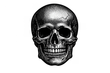 Human skull drawing in front view on transparent background representing death, mortality, anatomy, and science