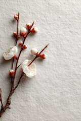 Minimalist overhead flat lay of spring flowers on textured surface with natural lighting