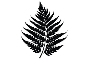 Naklejka premium fern leaf silhouette line art vector illustration with a white background