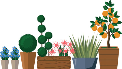potted plants, Illustrated arrangement of various potted plants, flowers, and fruit trees for home decor