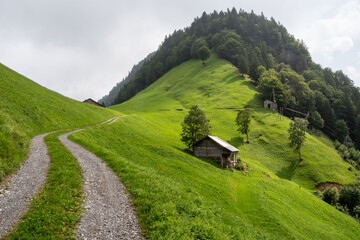 Gravel path winding through green alpine hills in Isenthal, Uri, Switzerland