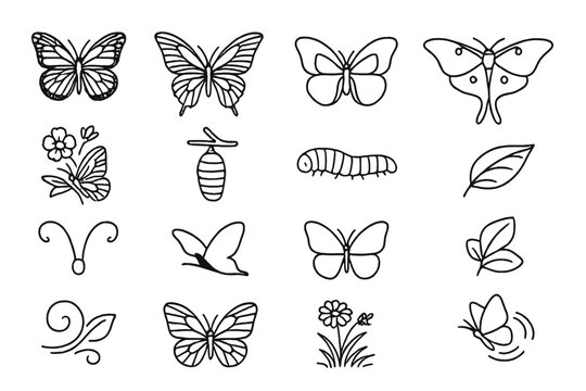 Butterfly Line Icons. Line style icons of butterfly collection: monarch, swallowtail, morpho, luna moth, painted lady, cocoon,