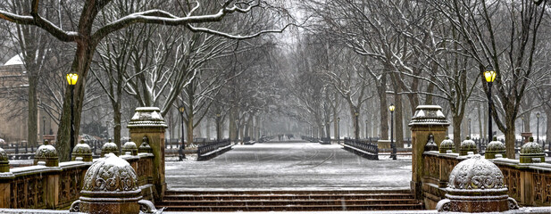 Central Park the Mall during snow storm