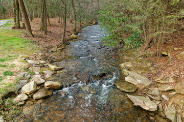 Creek flowing downstream in the forest