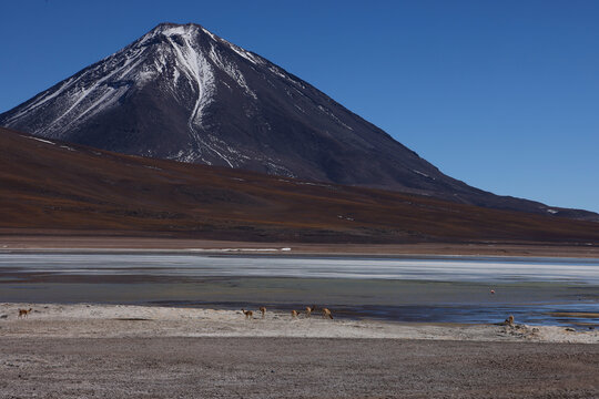 View of Laguna Blanca with its surrounding volcanoes, Bolivia