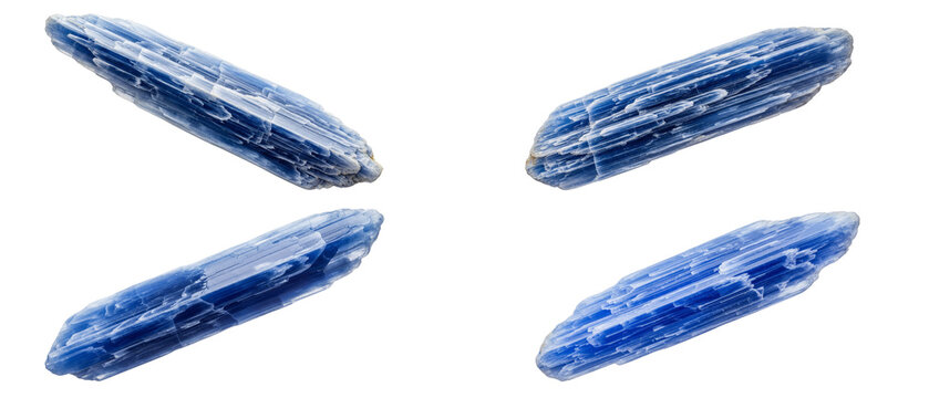 A collection of four raw blue kyanite mineral stones isolated on a clean white background.