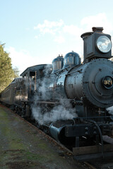 Obraz premium old train in the countryside