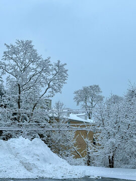 winter landscape with a bench