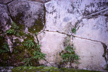 old stone wall