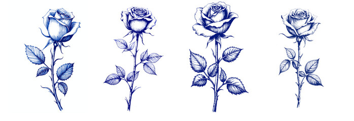A set of vintage blue ink sketches of single roses for International Women's Day