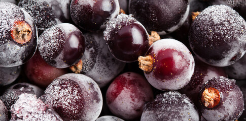 Frozen currant blueberry. Close-up. Ripe dark violet berries with snow frost. Macro view 