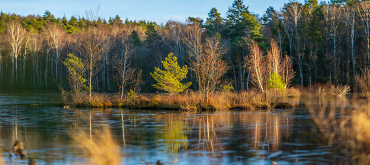 Panoramic view of flooded forest island and reflections.
