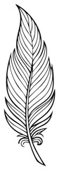 Obraz premium Elegant Feather Illustration Depicts Bird Plumage with Ornate Detail on White