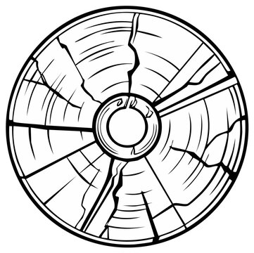 Cracked Disc: Graphic Representation of Damage, Loss, and Data Corruption