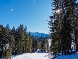 Snowy landscape in Bavarian Alps around Spitzingsee . Snow-capped Hinteres Sonnwendjoch, the highest peak of the Mangfall in AustrianTyrol seen from Rosskopfweg

