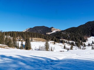 Snowy landscape around Spitzingsee. Valepper trail, bordered by Freudenreich Alm, lies at the foot of the slopes of the Schwarzenkopf, Wilde Fraulein and J&auml;gerkamp massifs.
