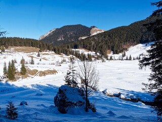 Snowy landscape around Spitzingsee in the Bavarian Alps. Wooded slope of the Schwarzenkopf, the peaks of Wilde Fraulein, J&auml;gerkamp and Valepper Alm seen from the Rosskopf hiking trail