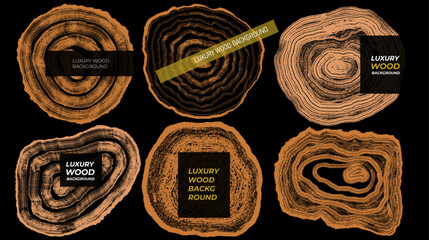 Naklejka premium Set of luxury golden background with vector wood annual rings texture. Wooden pattern on black and bronze marble background. Banner with tree trunk section stamp and concentric circles.