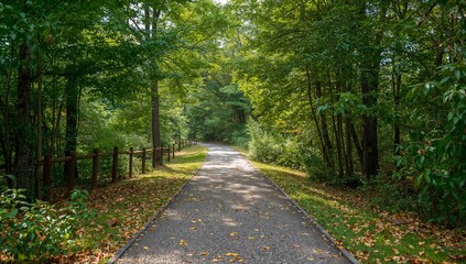 Obraz premium Path in a Park Surrounded by Trees and Fallen Leaves During Autumn Season