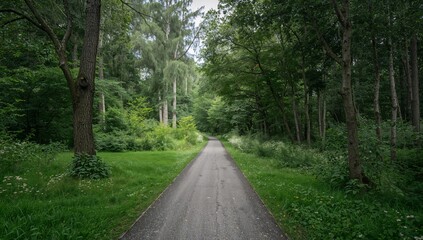 Fototapeta premium Path Through a Green Forest in a Quiet Area During a Cloudy Day