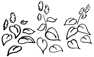 Hand-drawn botanical leaf set, vectorized pencil sketches of garden plants in doodle style. Organic hand-drawn foliage collection, vectorized pencil line art of garden leaves.