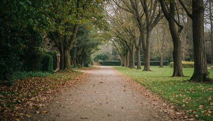 Obraz premium Path Through Trees With Fallen Leaves on a Cool Autumn Day at a Park