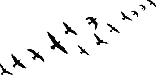 Obraz premium Diagonal sequence of black bird silhouettes in flight, showcasing wing movement and motion, ideal for nature design, wildlife graphics, and vector illustration projects.