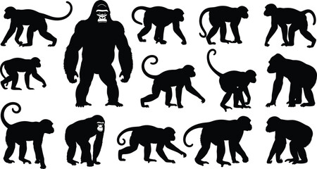 Set of fifteen black primate silhouettes including monkeys and gorillas in various poses, ideal for educational, wildlife, and zoological vector illustration projects. © MSTNASRIN