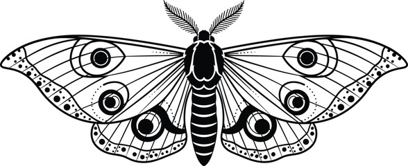 Decorative moth insect illustration with detailed patterned wings representing nocturnal wildlife symmetry and entomology art in black and white vector style © Hello World