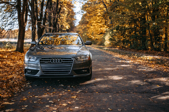 Vinnitsa; Ukraine; October 18, 2022: Gray car Audi A4 (sedan; 4th generation; B8) standing on the street in autumn forest.