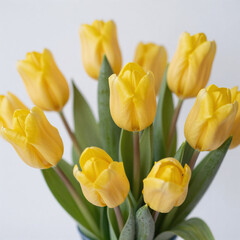 A bouquet of vibrant yellow tulips with green leaves against a white background