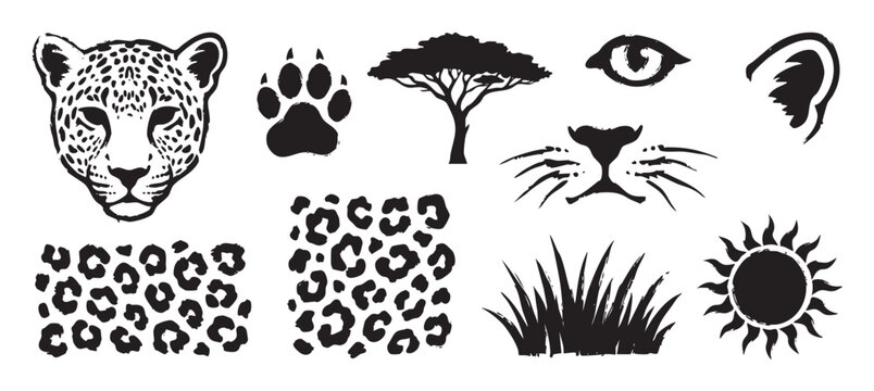 Black grunge style safari animal illustrations featuring a leopard head, paw print, acacia tree, sun, and spotted pattern in a graphic, hand-drawn vector set of design elements