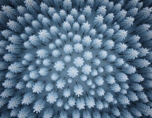 Typical winter scene with snow and serene atmosphere