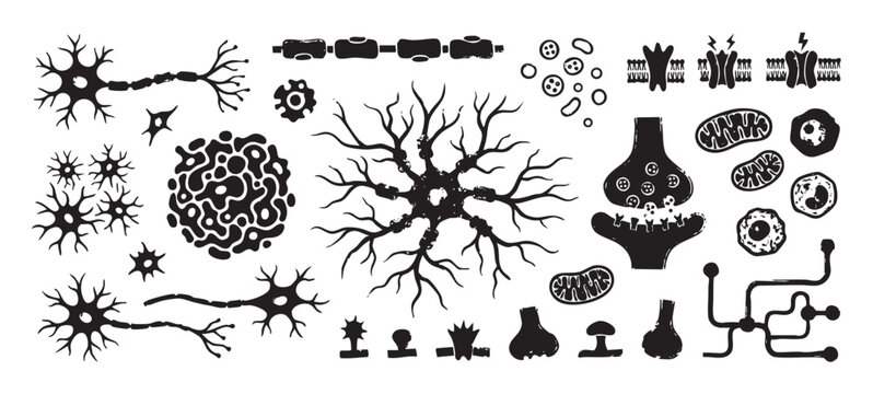 Set of black and white neuroscience icons featuring various neurons, a detailed synapse, glial cells, mitochondria, and ion channels in a stylized, hand-drawn linocut style