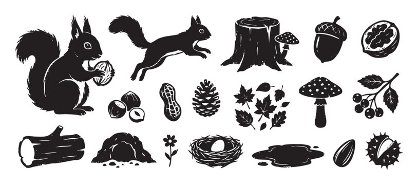 Black forest animal and nature illustrations set with a squirrel, nuts, mushrooms, and leaves in a graphic woodcut style, showing various woodland elements for design