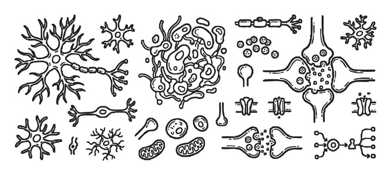 Set of hand-drawn neuroscience illustrations showing neurons, synapses, microglia, and mitochondria in a black and white doodle style for scientific or medical educational materials
