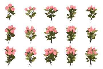 A bouquet of light pink roses. A large set of bouquets for your design. Vector illustration on a white background.