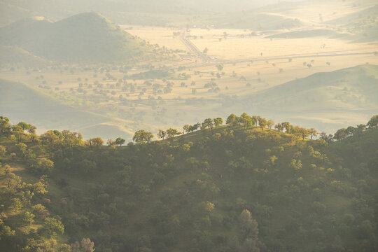 Spring greens and filtered morning light with a view of the valley below 