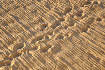 Obraz premium Footprints in the white sand