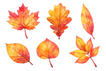 Autumn leaves watercolor painting with diverse fall foliage, vibrant red, orange, yellow natural elements on transparent background
