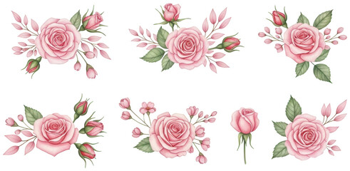 Valentine Set of watercolor pink rose arrangements with leaves and buds, elegant floral designs isolated on a transparent background