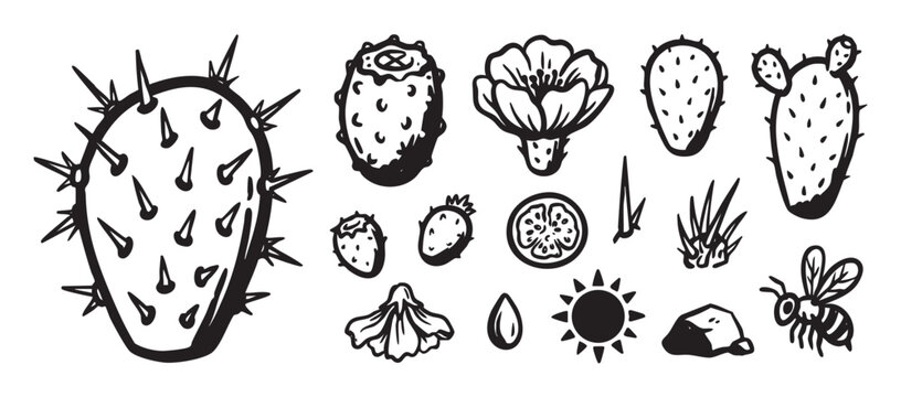 Hand drawn black and white prickly pear cactus illustration set with various elements like fruit, flower, bee, and sun in a rustic, block print graphic style