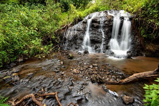Small Waterfall in a Lush Forest, Mount Elgon National Park, Kenya