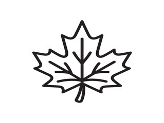 Fototapeta premium Simple line art maple leaf icon