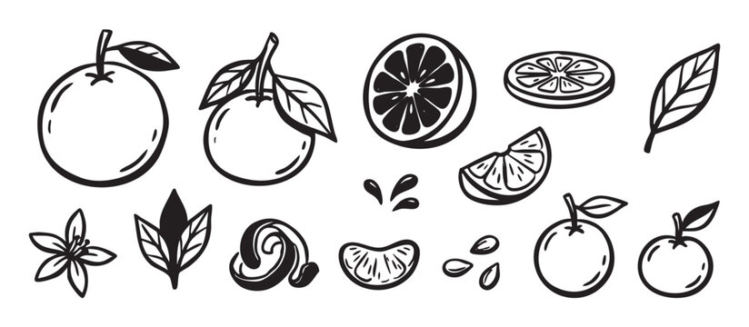Set of hand drawn orange fruit illustrations in a black and white sketch style, featuring whole citrus, slices, wedges, leaves, a blossom, zest, and juice drops