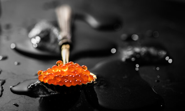 Red caviar in a spoon over black stone background, with ice. Red Caviar in a spoon art design. Close-up of salmon fish roe caviar. Delicatessen. Texture of trout caviar. Seafood backdrop, gourmet food