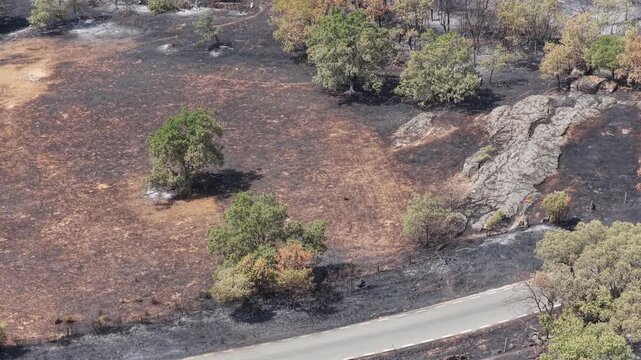 Aerial, Wildfire, forest fire, Spain, Hot andy dry summer 2025