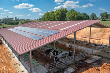 Sustainable dairy farm barn with solar panels providing clean energy © Azulblue